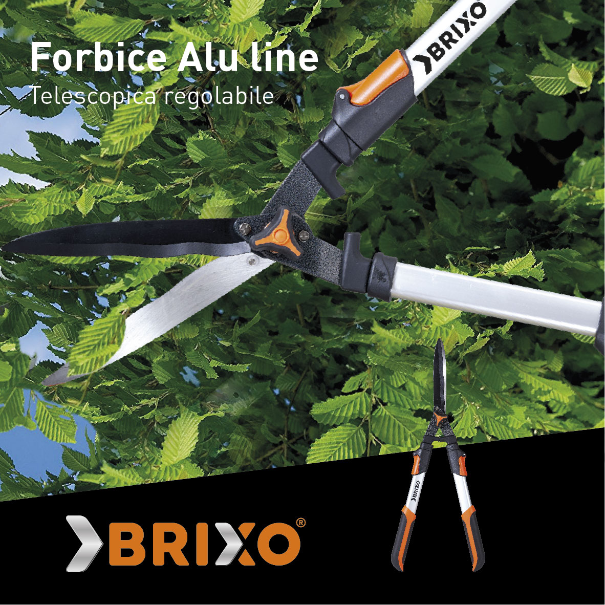 Forbici per siepi Alu line, telescopiche e rogolabili – Brixo